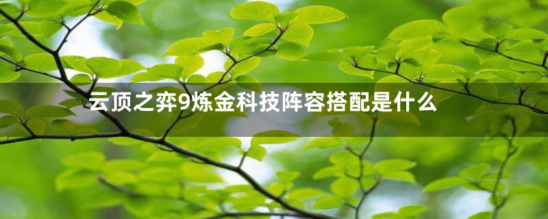 云顶之弈9炼金科技阵容搭配是什么