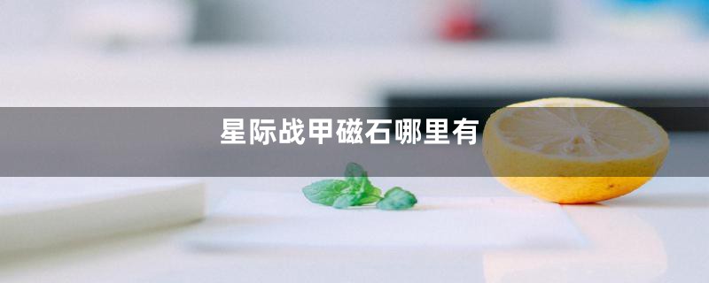 星际战甲磁石哪里有