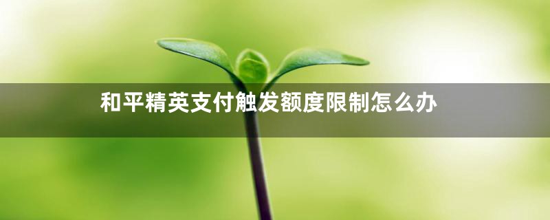 和平精英支付触发额度限制怎么办