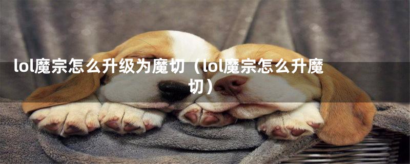 lol魔宗怎么升级为魔切（lol魔宗怎么升魔切）