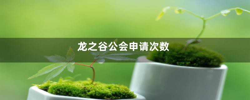 龙之谷公会申请次数