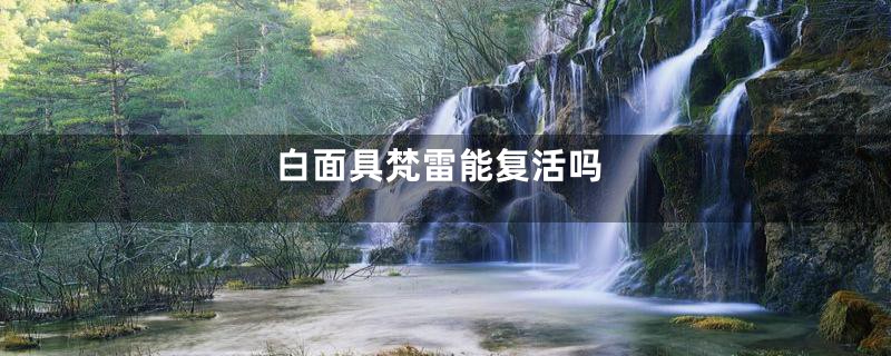 白面具梵雷能复活吗