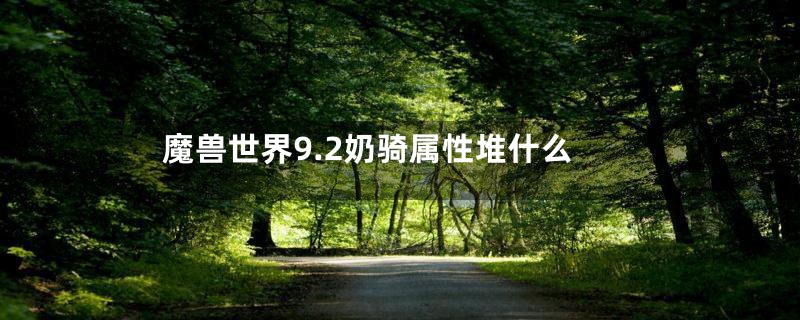 魔兽世界9.2奶骑属性堆什么