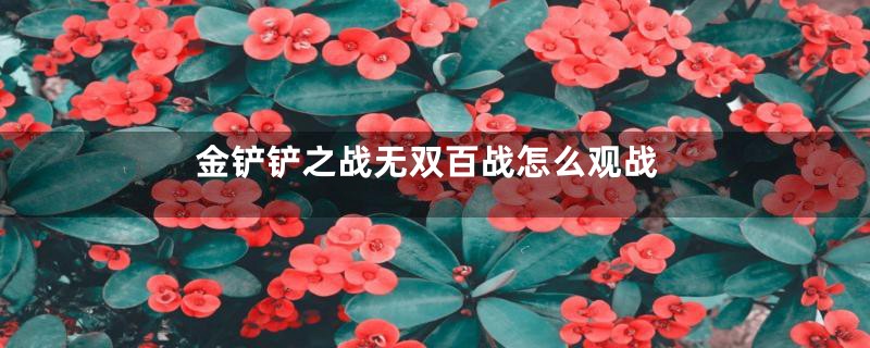 金铲铲之战无双百战怎么观战