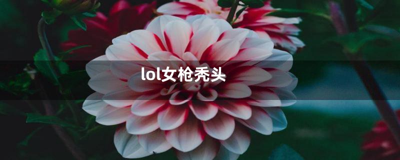 lol女枪秃头