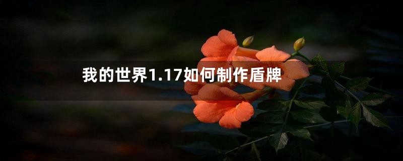 我的世界1.17如何制作盾牌