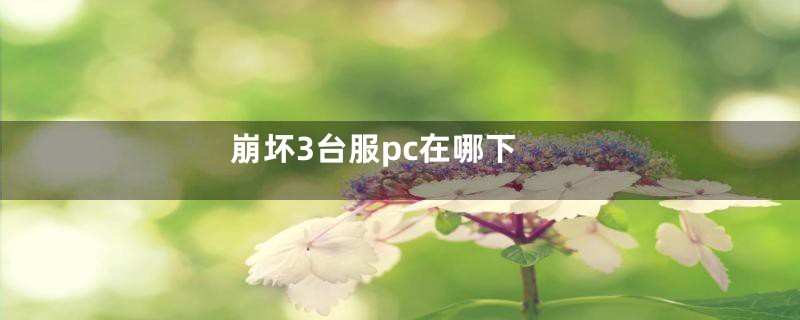 崩坏3台服pc在哪下