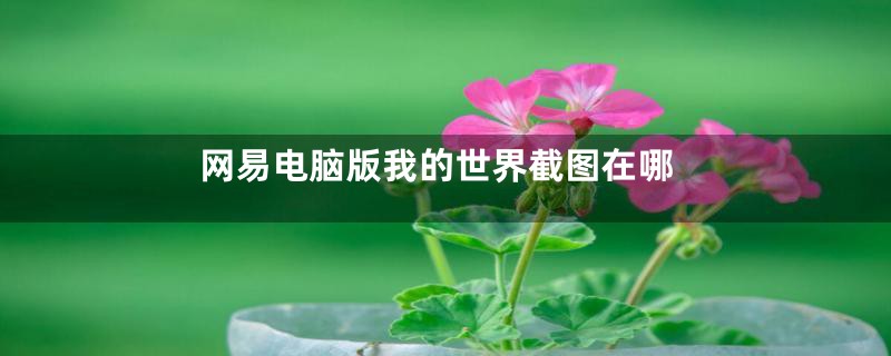 网易电脑版我的世界截图在哪