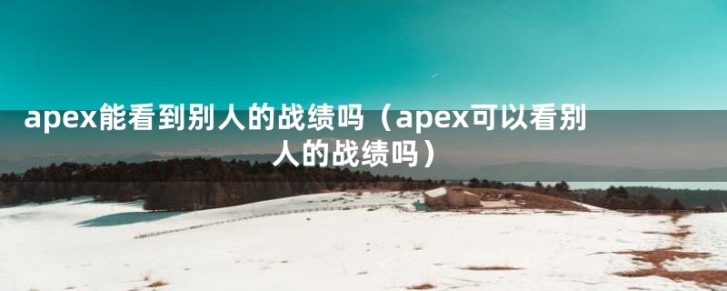 apex能看到别人的战绩吗（apex可以看别人的战绩吗）