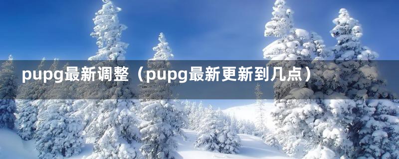 pupg最新调整（pupg最新更新到几点）