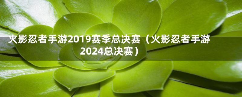 火影忍者手游2019赛季总决赛（火影忍者手游2024总决赛）