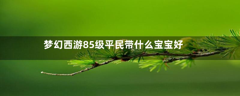 梦幻西游85级平民带什么宝宝好