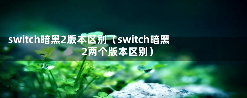 switch暗黑2版本区别（switch暗黑2两个版本区别）