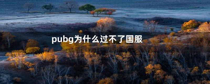 pubg为什么过不了国服