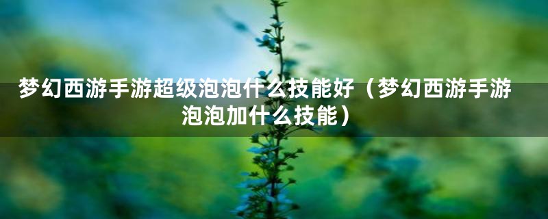 梦幻西游手游超级泡泡什么技能好（梦幻西游手游泡泡加什么技能）