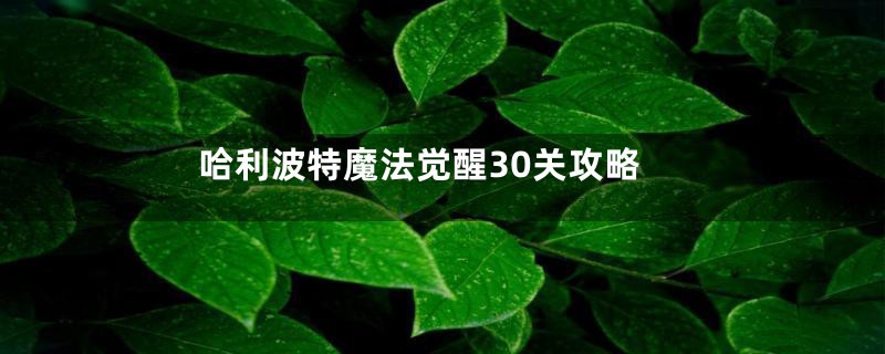 哈利波特魔法觉醒30关攻略