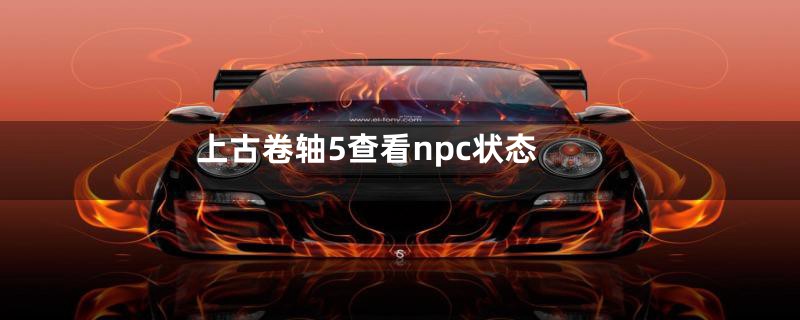 上古卷轴5查看npc状态