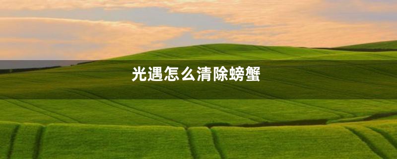 光遇怎么清除螃蟹