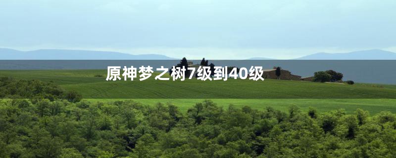 原神梦之树7级到40级