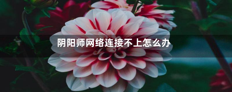 阴阳师网络连接不上怎么办