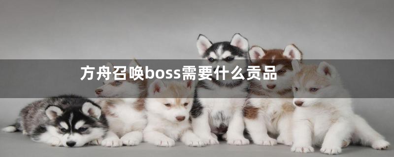 方舟召唤boss需要什么贡品