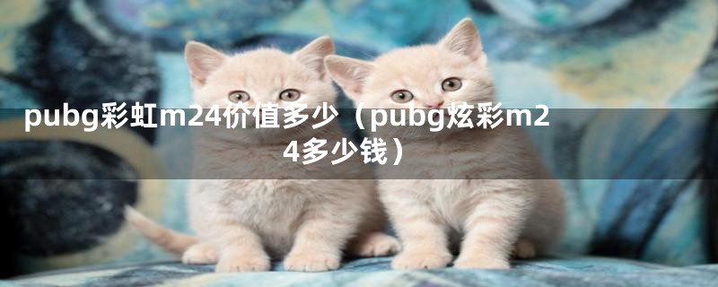 pubg彩虹m24价值多少（pubg炫彩m24多少钱）