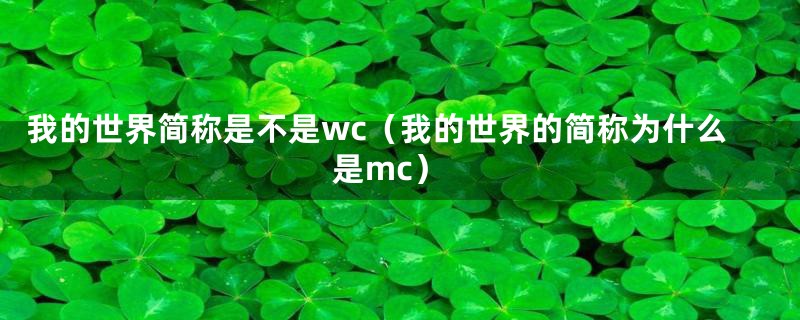 我的世界简称是不是wc（我的世界的简称为什么是mc）