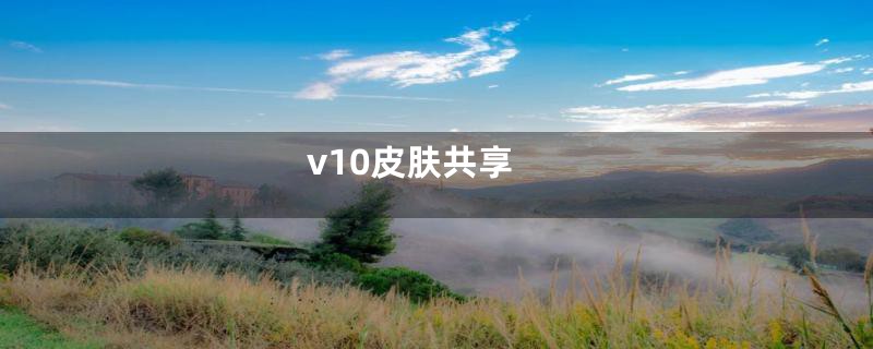 v10皮肤共享