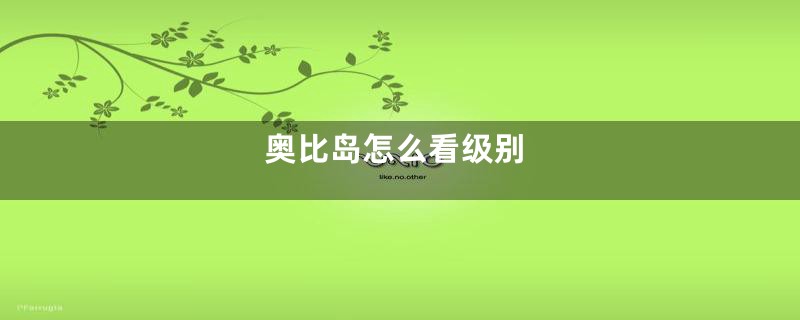 奥比岛怎么看级别