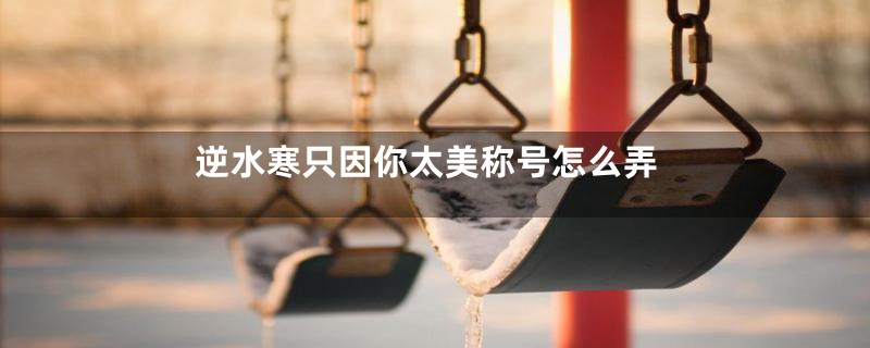 逆水寒只因你太美称号怎么弄