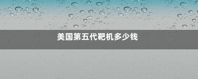 美国第五代靶机多少钱