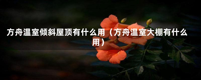 方舟温室倾斜屋顶有什么用（方舟温室大棚有什么用）