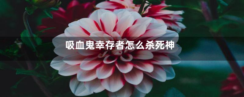 吸血鬼幸存者怎么杀死神