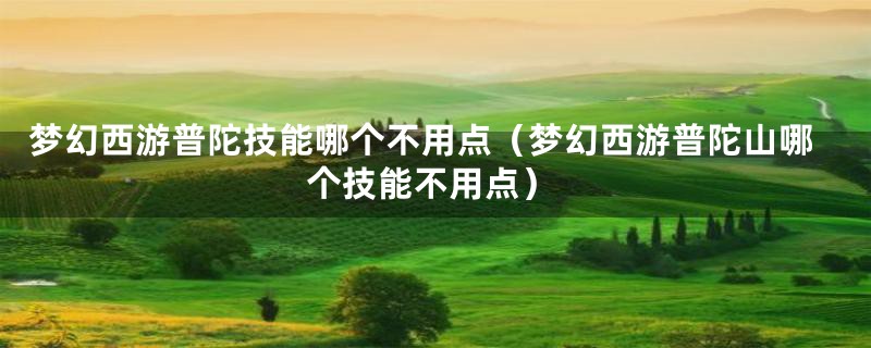 梦幻西游普陀技能哪个不用点（梦幻西游普陀山哪个技能不用点）