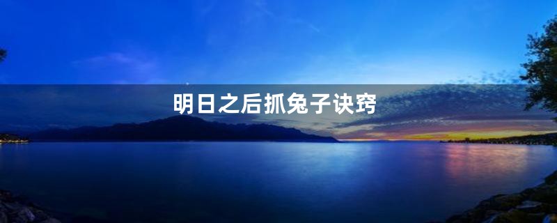 明日之后抓兔子诀窍