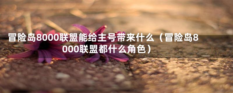 冒险岛8000联盟能给主号带来什么（冒险岛8000联盟都什么角色）