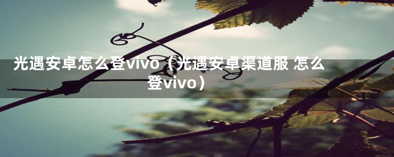 光遇安卓怎么登vivo（光遇安卓渠道服 怎么登vivo）