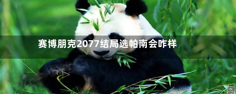 赛博朋克2077结局选帕南会咋样