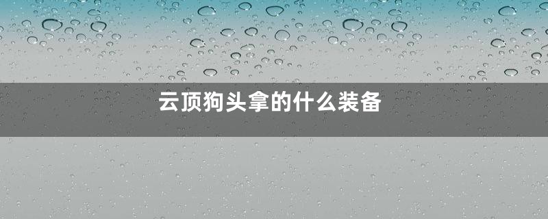 云顶狗头拿的什么装备