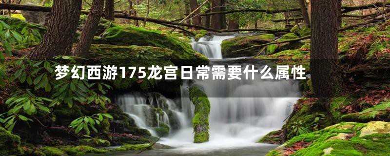 梦幻西游175龙宫日常需要什么属性