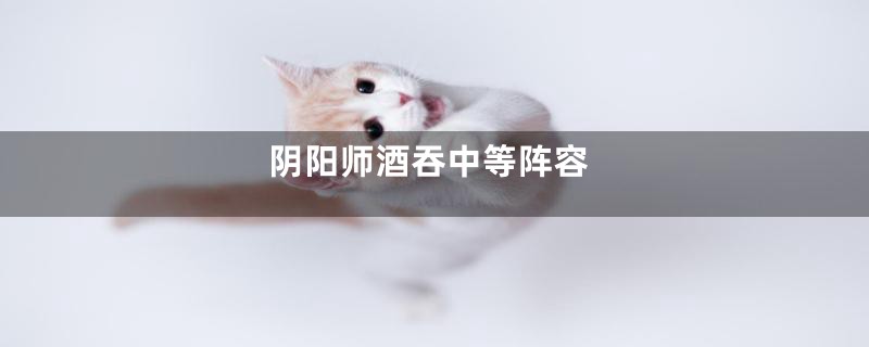 阴阳师酒吞中等阵容