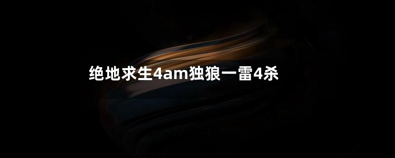 绝地求生4am独狼一雷4杀