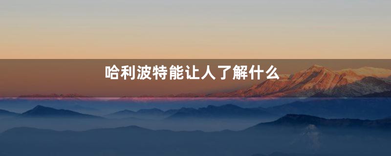 哈利波特能让人了解什么