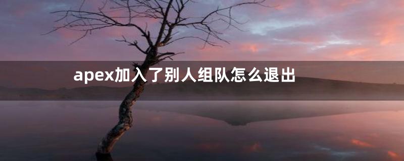 apex加入了别人组队怎么退出