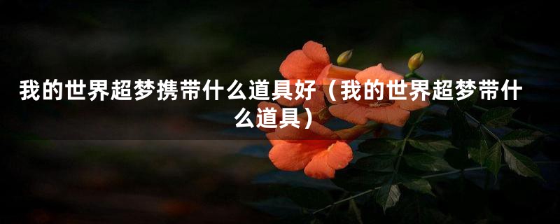 我的世界超梦携带什么道具好（我的世界超梦带什么道具）