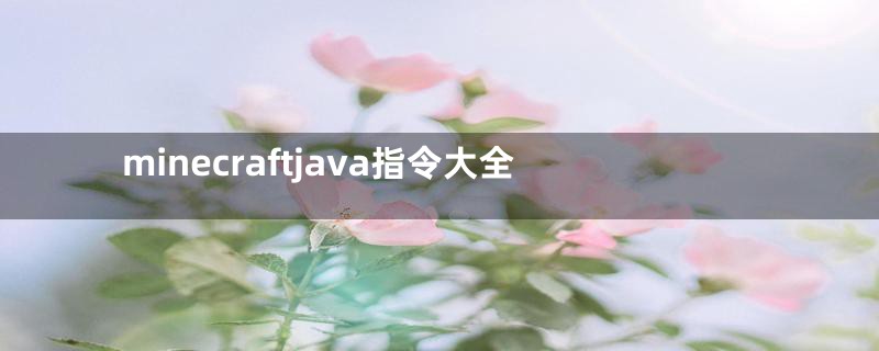 minecraftjava指令大全