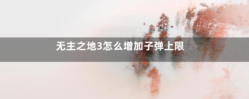 无主之地3怎么增加子弹上限