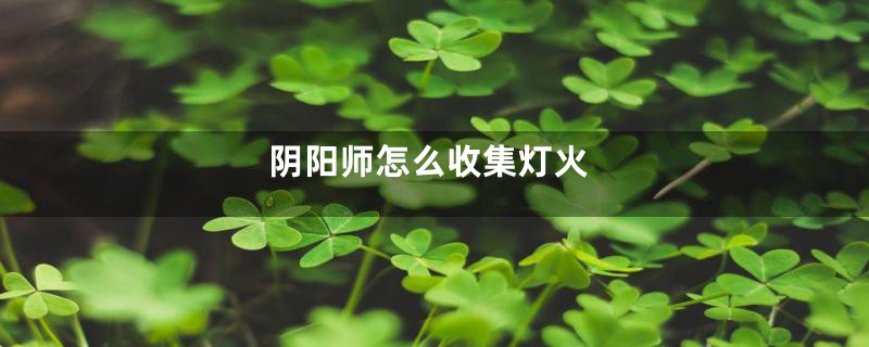 阴阳师怎么收集灯火