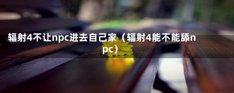 辐射4不让npc进去自己家（辐射4能不能舔npc）