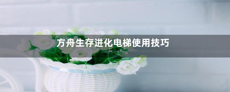 方舟生存进化电梯使用技巧